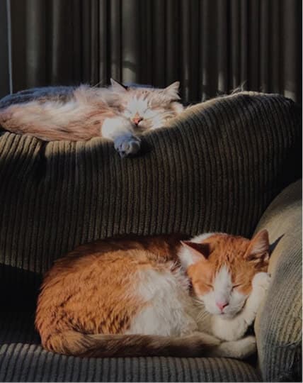 Michigan member since Jun, 2022